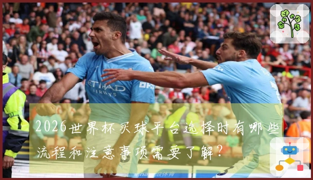 2026世界杯买球平台选择时有哪些流程和注意事项需要了解？