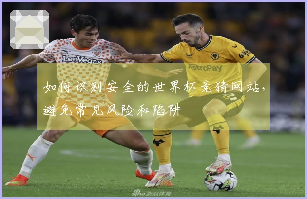 如何识别安全的世界杯竞猜网站，避免常见风险和陷阱