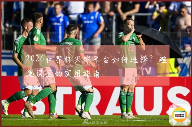 2026世界杯买球平台如何选择？避免误区的实用指南
