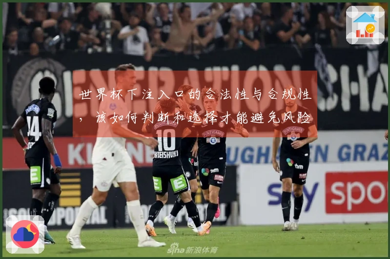 世界杯下注入口的合法性与合规性，该如何判断和选择才能避免风险