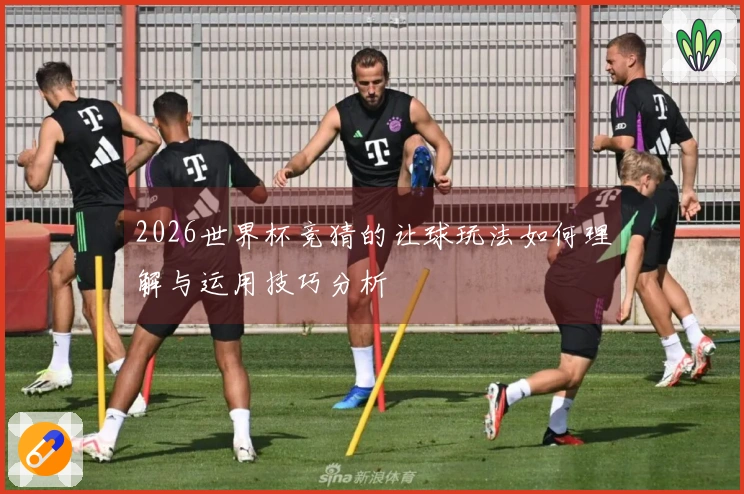 2026世界杯竞猜的让球玩法如何理解与运用技巧分析