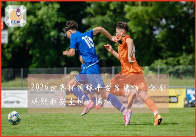 2026世界杯买球平台靠谱吗？体彩规则和安全性大揭秘