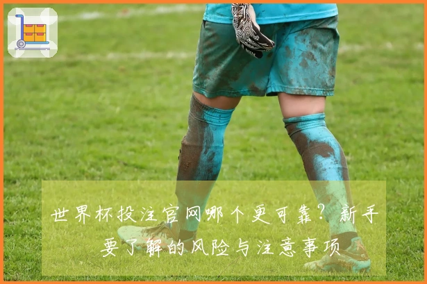 世界杯投注官网哪个更可靠？新手 전에要了解的风险与注意事项