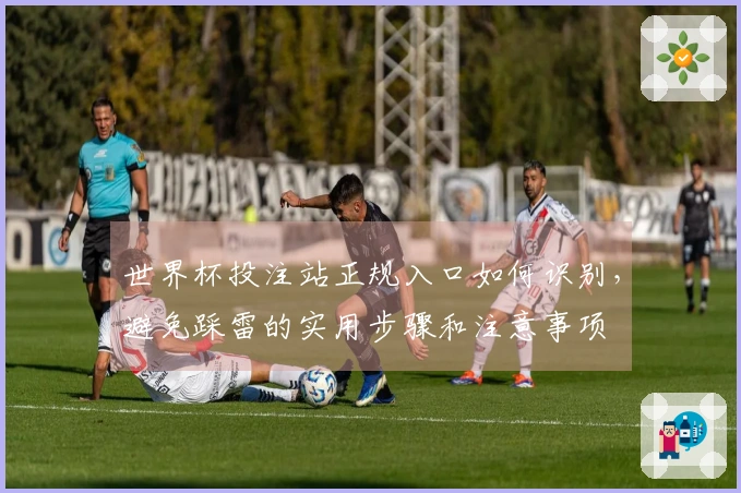 世界杯投注站正规入口如何识别，避免踩雷的实用步骤和注意事项