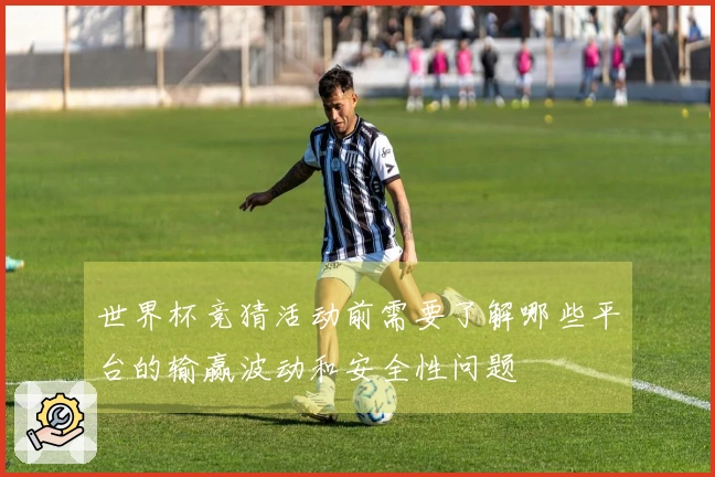 世界杯竞猜活动前需要了解哪些平台的输赢波动和安全性问题