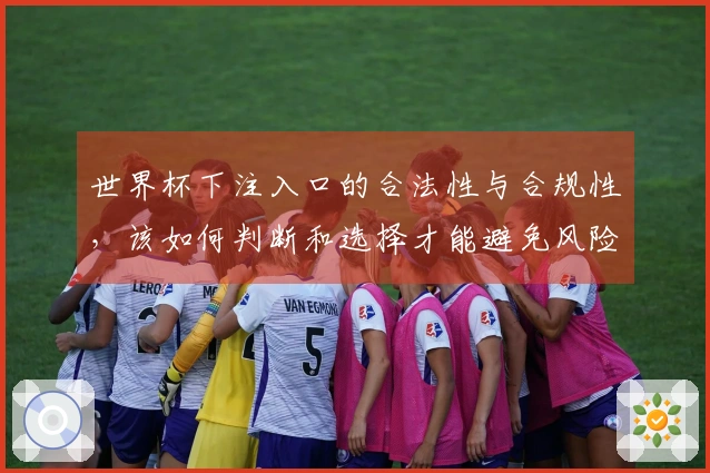 世界杯下注入口的合法性与合规性，该如何判断和选择才能避免风险