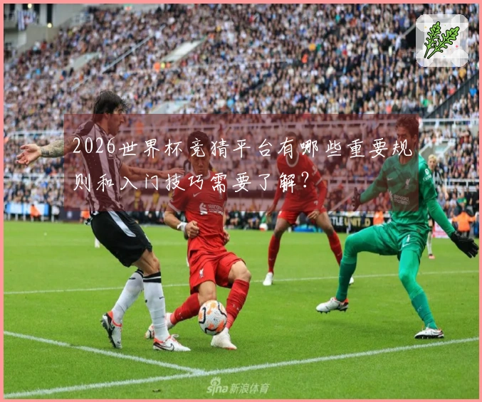 2026世界杯竞猜平台有哪些重要规则和入门技巧需要了解？