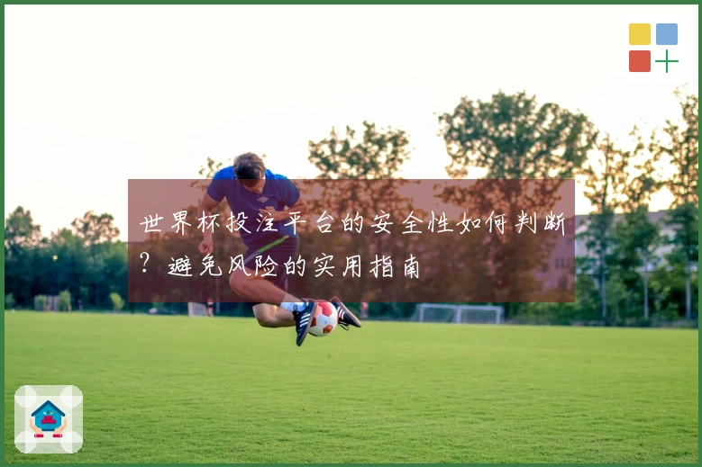世界杯投注平台的安全性如何判断？避免风险的实用指南