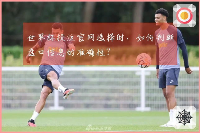 世界杯投注官网选择时，如何判断盘口信息的准确性？