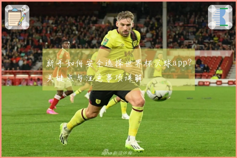 新手如何安全选择世界杯买球app？关键点与注意事项详解