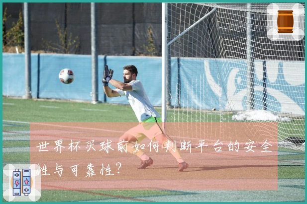 世界杯买球前如何判断平台的安全性与可靠性？