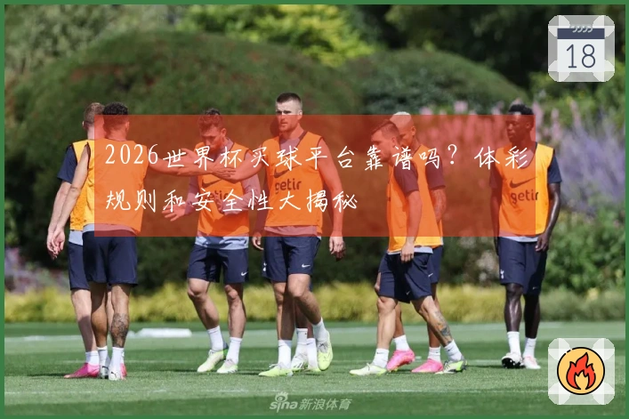 2026世界杯买球平台靠谱吗？体彩规则和安全性大揭秘