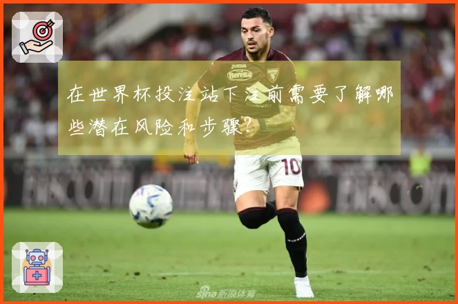 在世界杯投注站下注前需要了解哪些潜在风险和步骤?