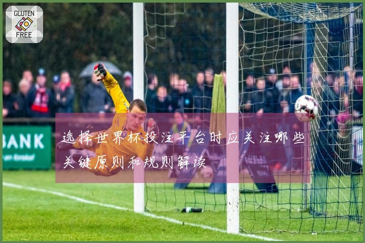 选择世界杯投注平台时应关注哪些关键原则和规则解读