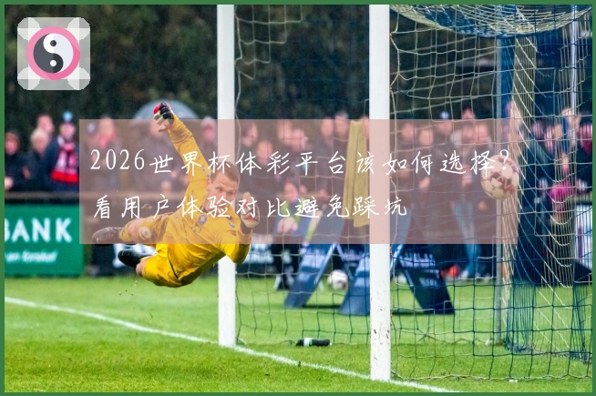 2026世界杯体彩平台该如何选择？看用户体验对比避免踩坑