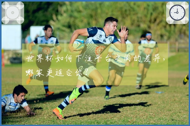 世界杯如何下注平台之间的差异，哪家更适合你？