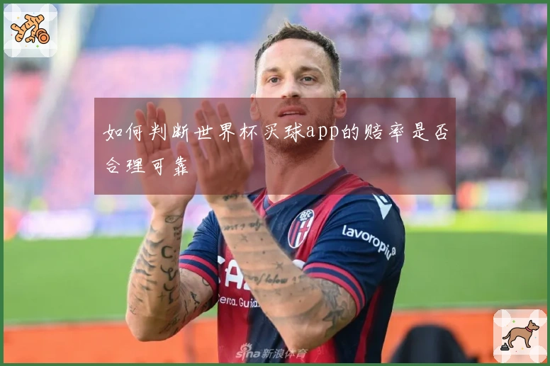 如何判断世界杯买球app的赔率是否合理可靠