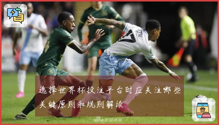 选择世界杯投注平台时应关注哪些关键原则和规则解读