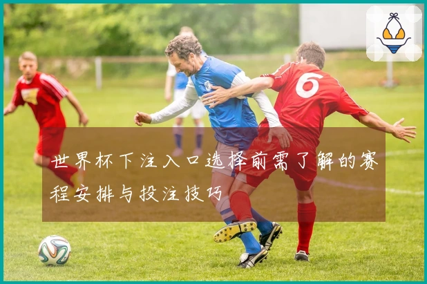 世界杯下注入口选择前需了解的赛程安排与投注技巧